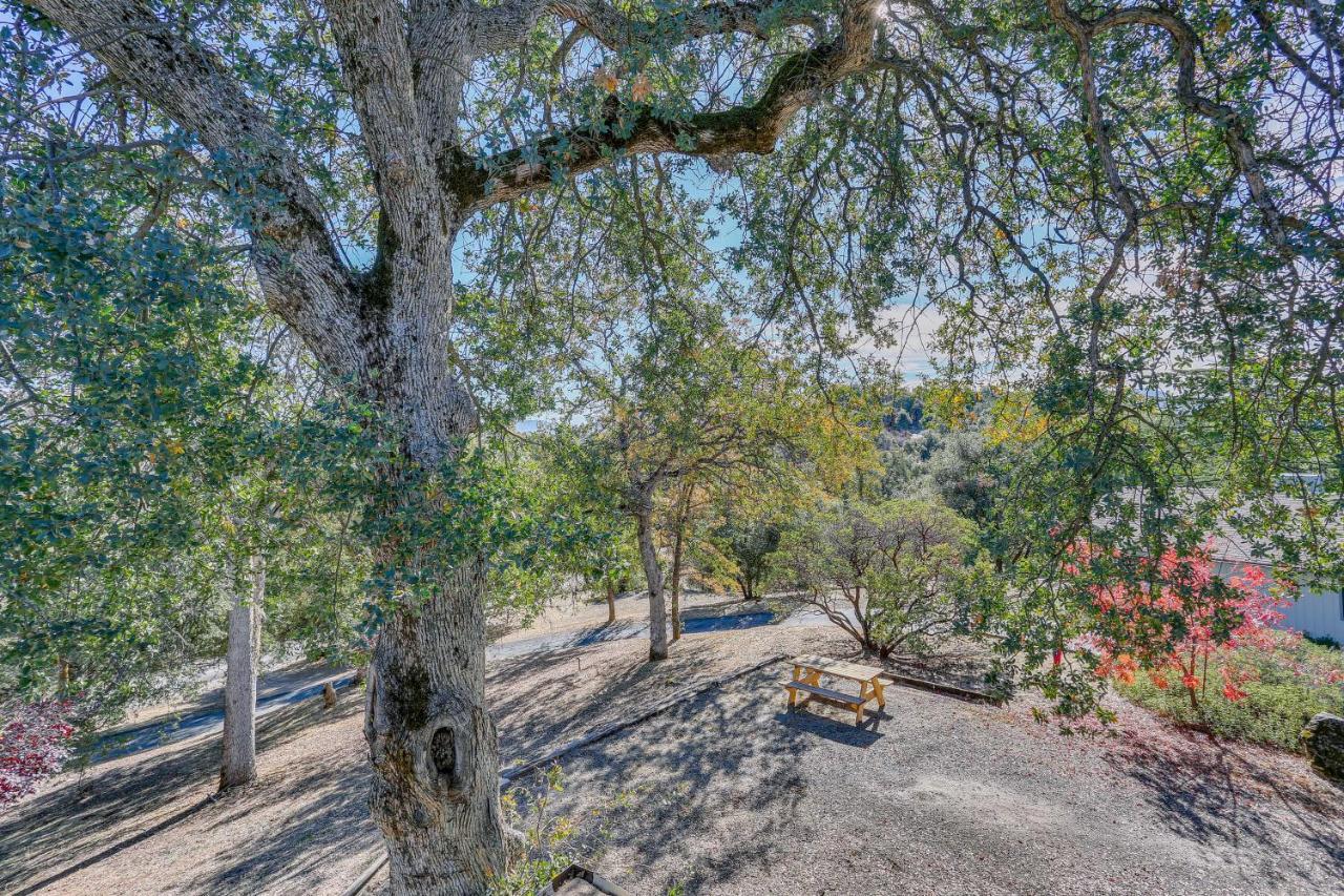 Cozy With Well-being Retreat Near Yosemite! Apartment *
