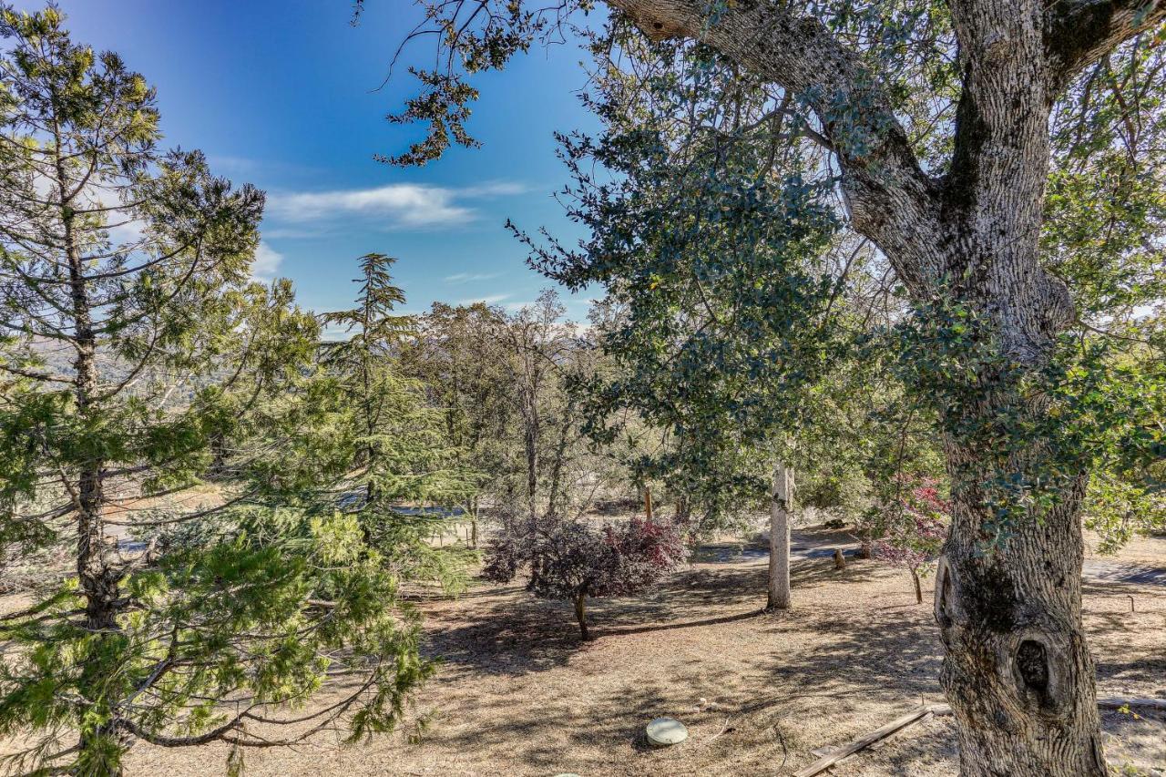 Apartment Cozy With Well-being Retreat Near Yosemite! *